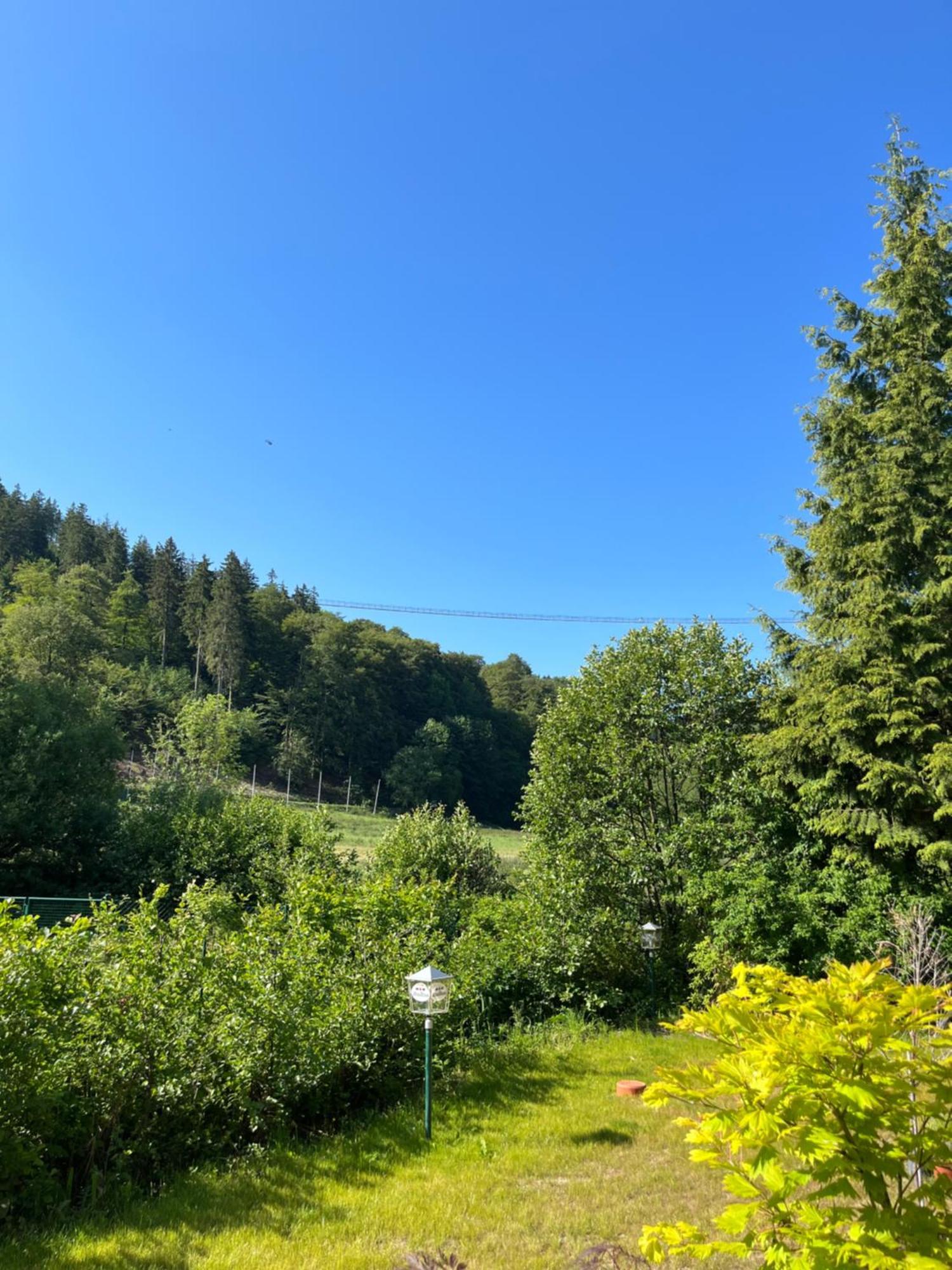 Hotel Zum Forsthaus Willingen  Exterior photo