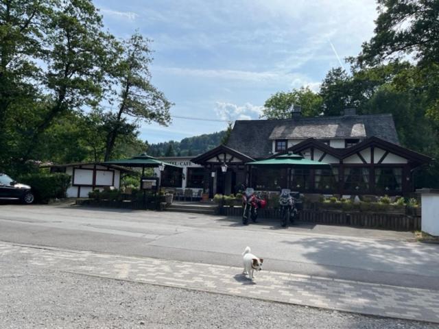 Hotel Zum Forsthaus Willingen  Exterior photo